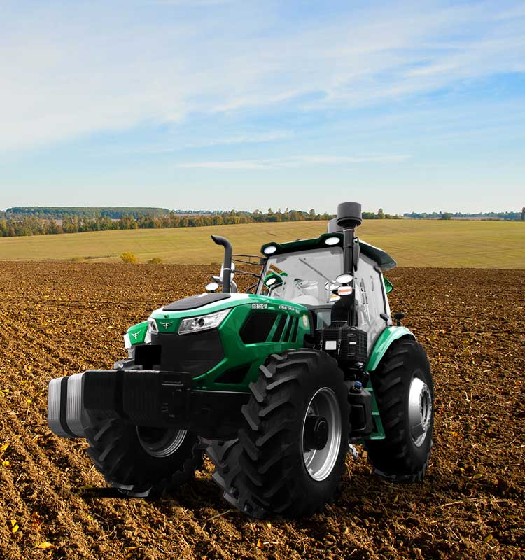 img12 of cate in cate