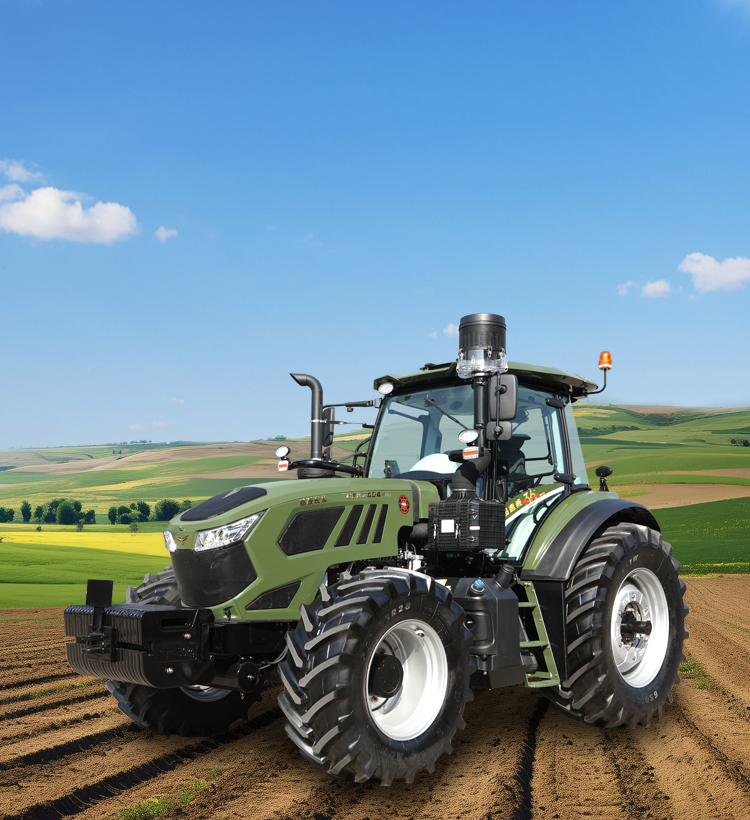 img15 of cate in cate